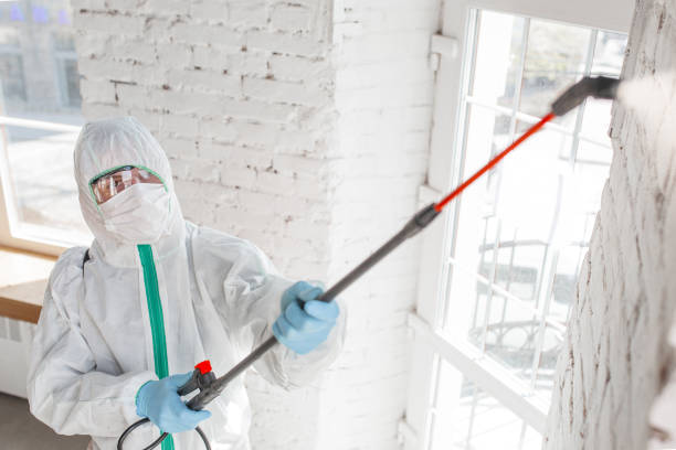 Biohazard Mold Removal in Newport, WA