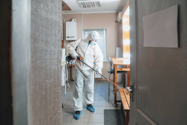 Best Environmental Consulting for Mold Prevention  in Newport, WA