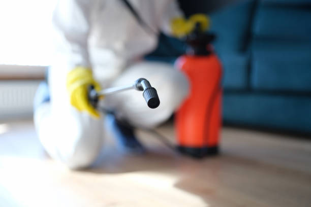 Newport, WA Mold Removal Company